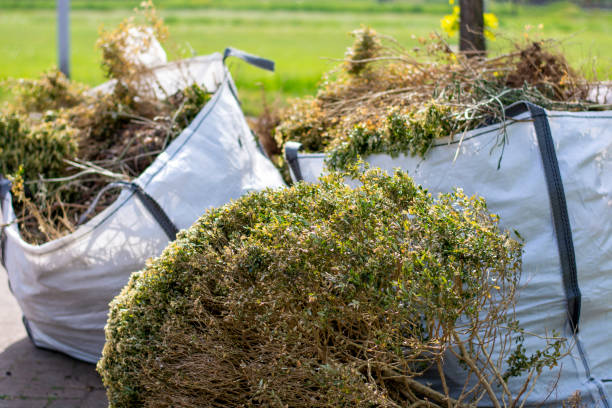 Best Same-Day Junk Removal Services  in Rural Hill, TN